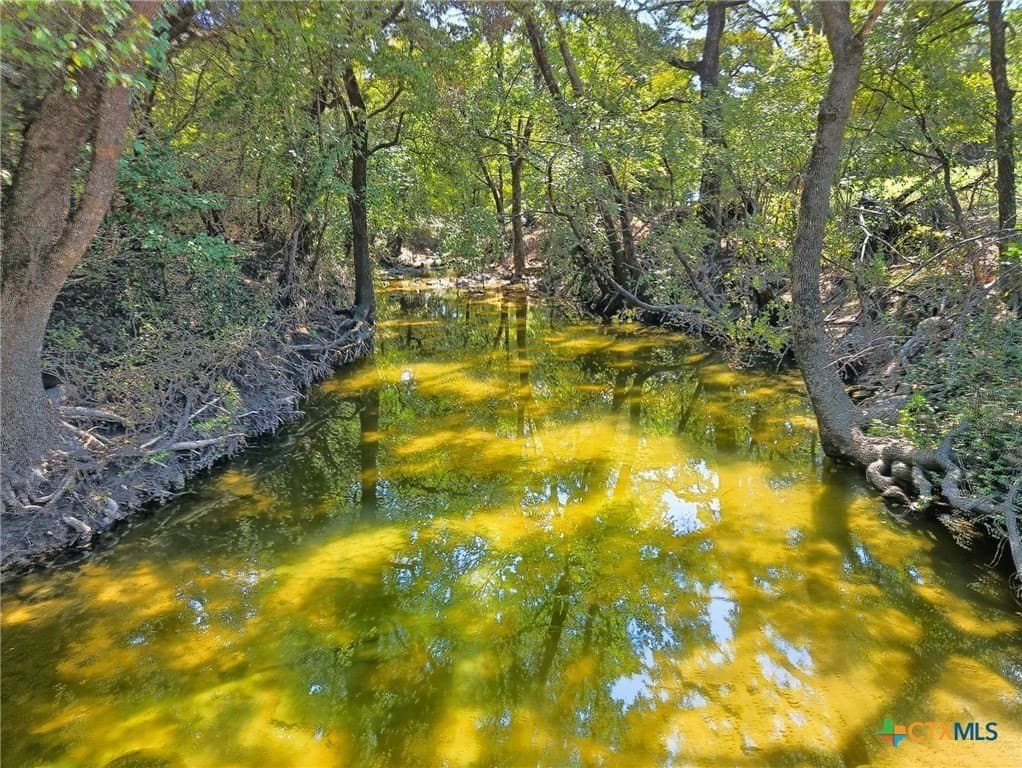 176.79 acres in Coryell County - photo 3