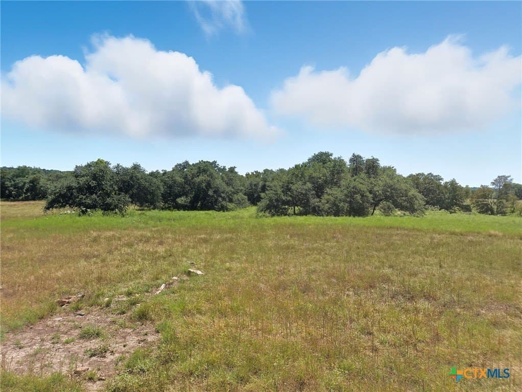 176.79 acres in Coryell County - photo 23