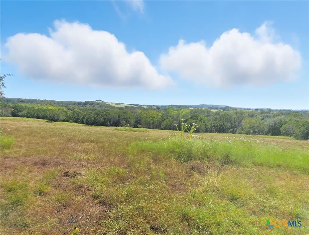 176.79 acres in Coryell County - photo 25