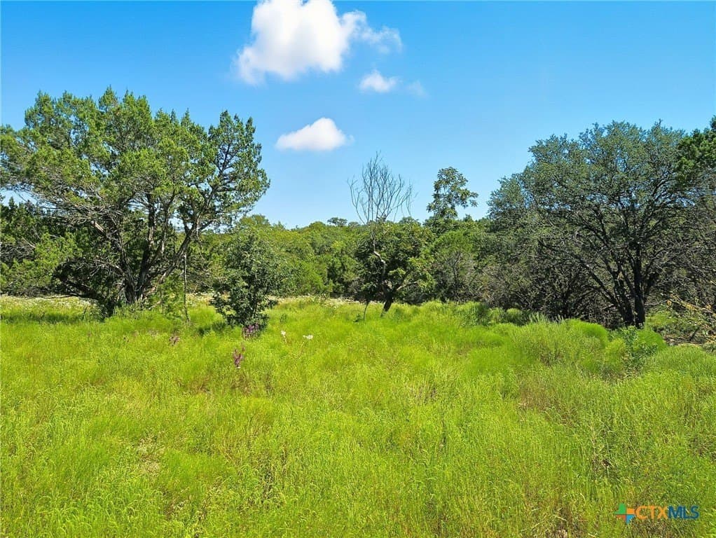 176.79 acres in Coryell County - photo 9
