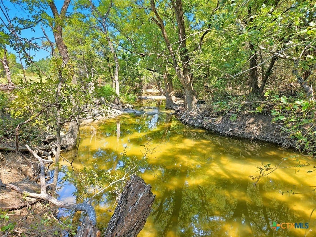 176.79 acres in Coryell County - photo 2