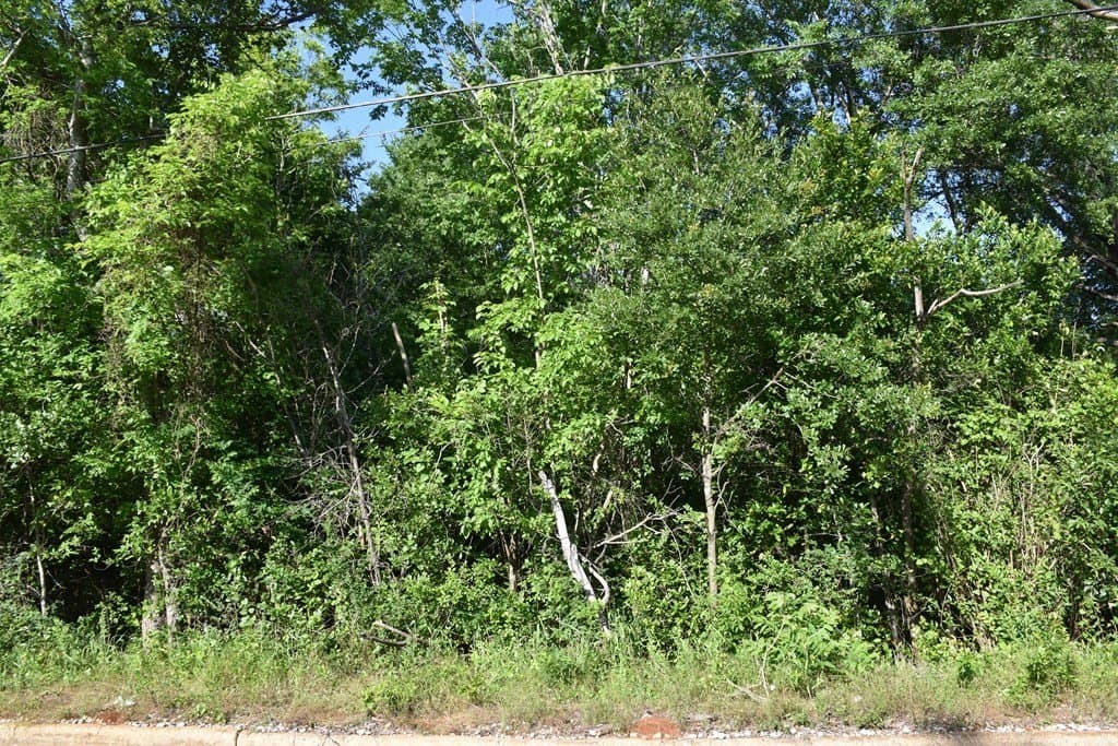 4.69 acres in ANDERSON County featured view