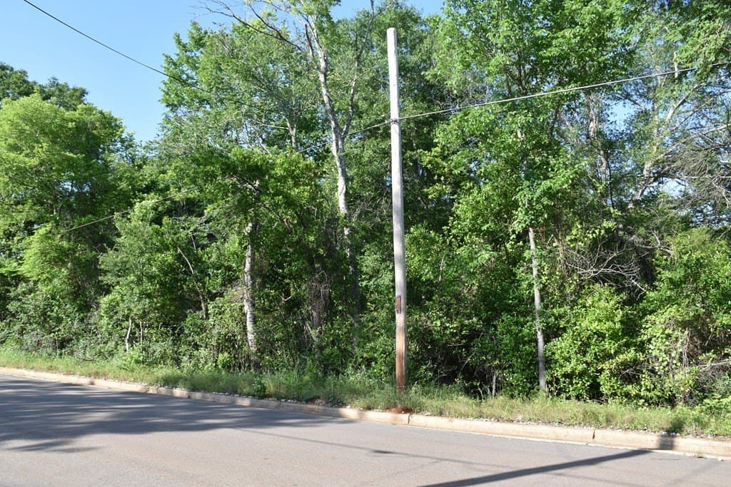 4.69 acres in ANDERSON County gallery image 3