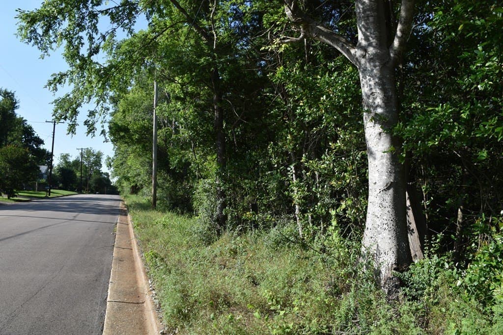 4.69 acres in ANDERSON County gallery image 2