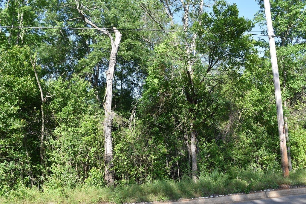 4.69 acres in ANDERSON County - photo 6