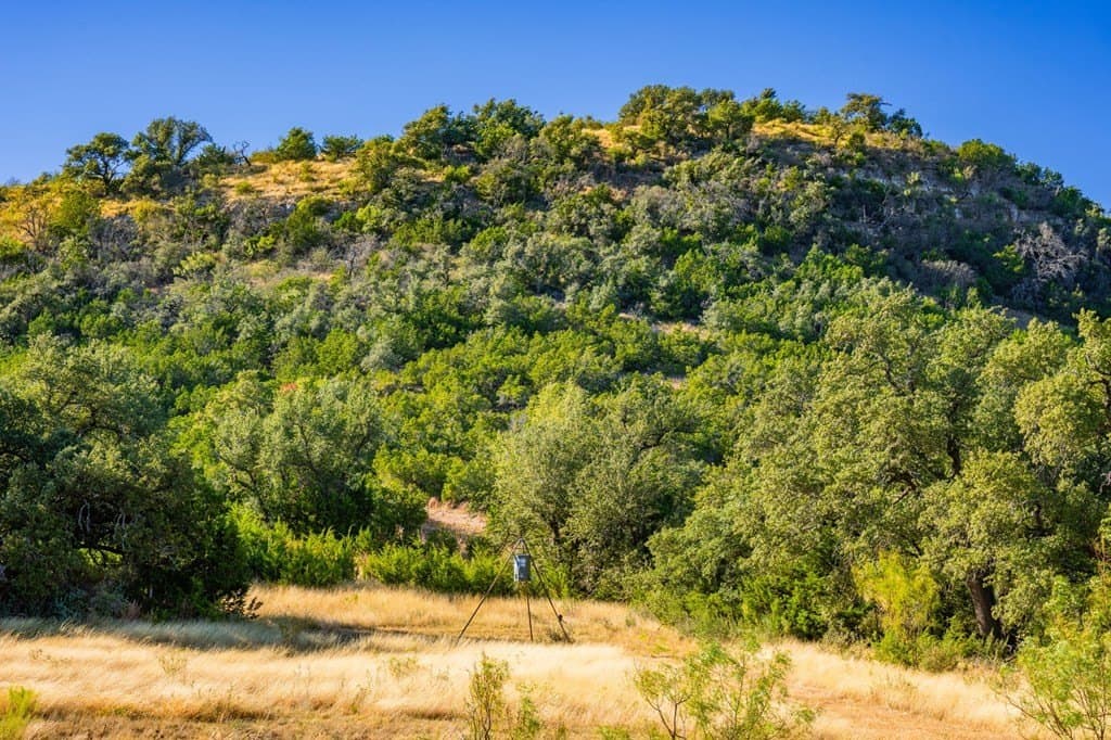 257 acres in Gillespie County featured view