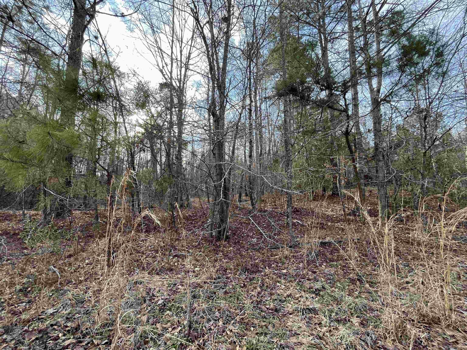 120.91 acres in Gregg County - photo 26