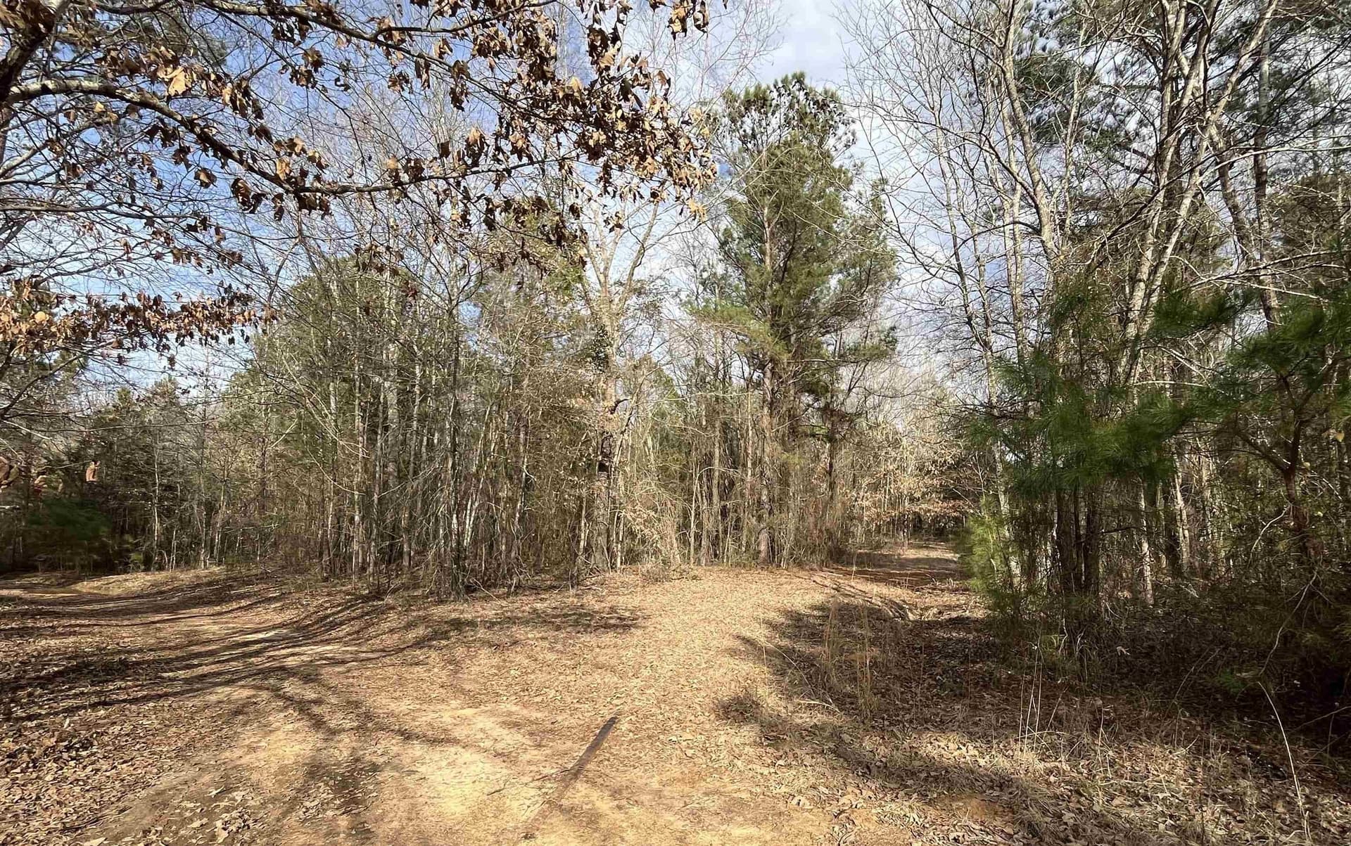 120.91 acres in Gregg County - photo 27