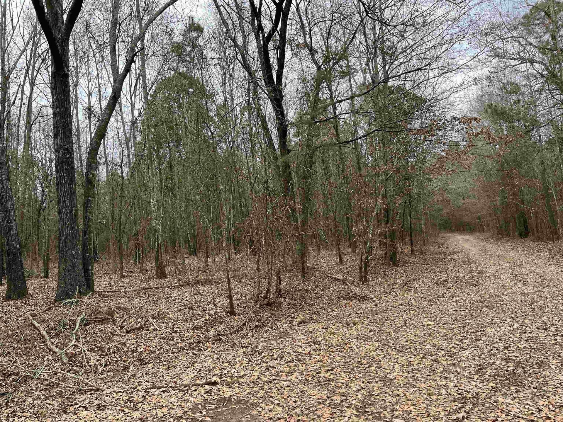 120.91 acres in Gregg County - photo 22