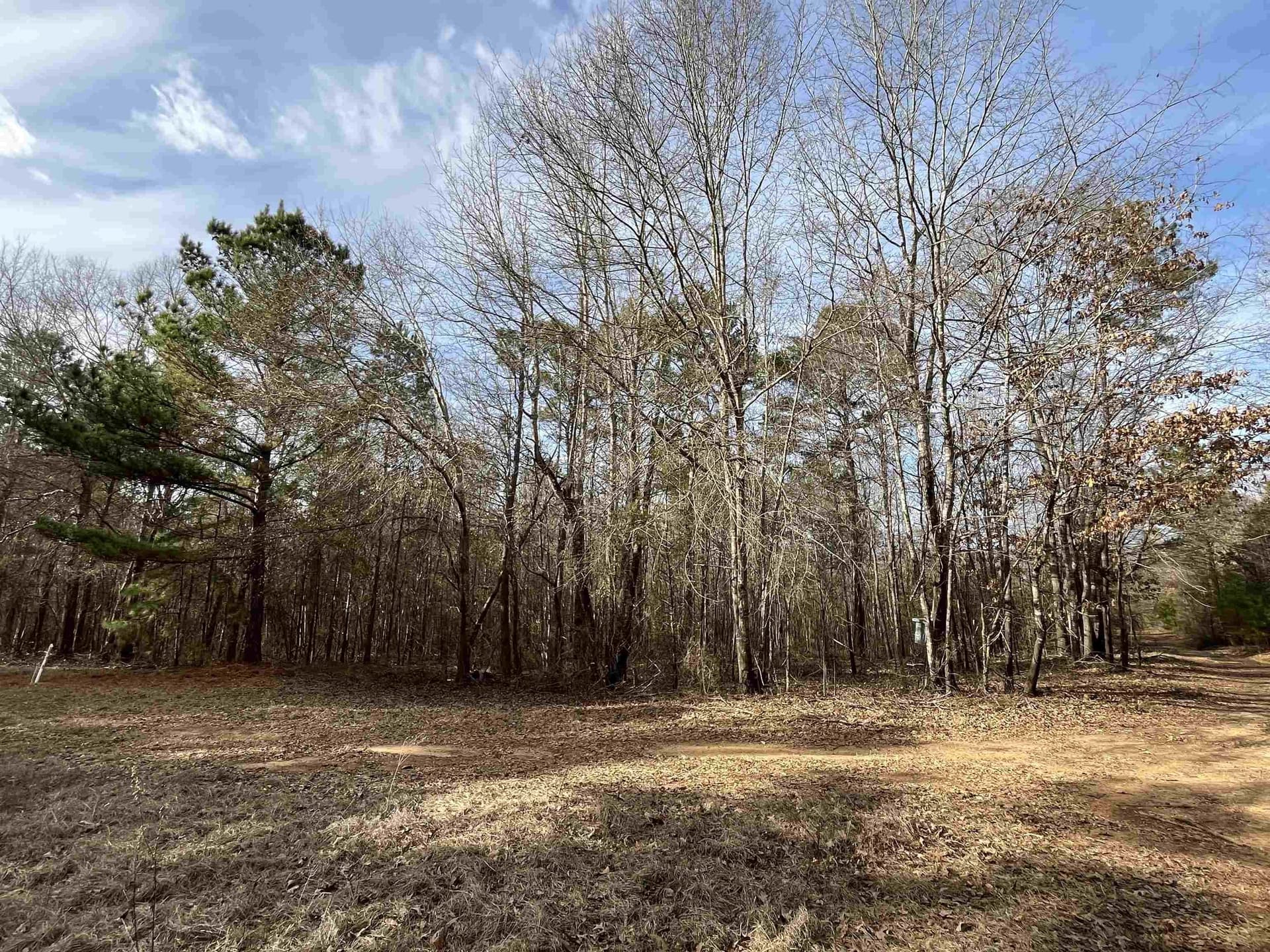 120.91 acres in Gregg County - photo 28