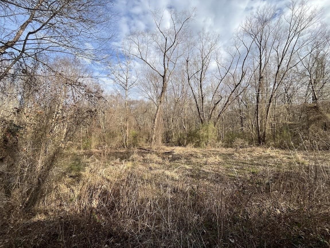 120.91 acres in Gregg County - photo 32