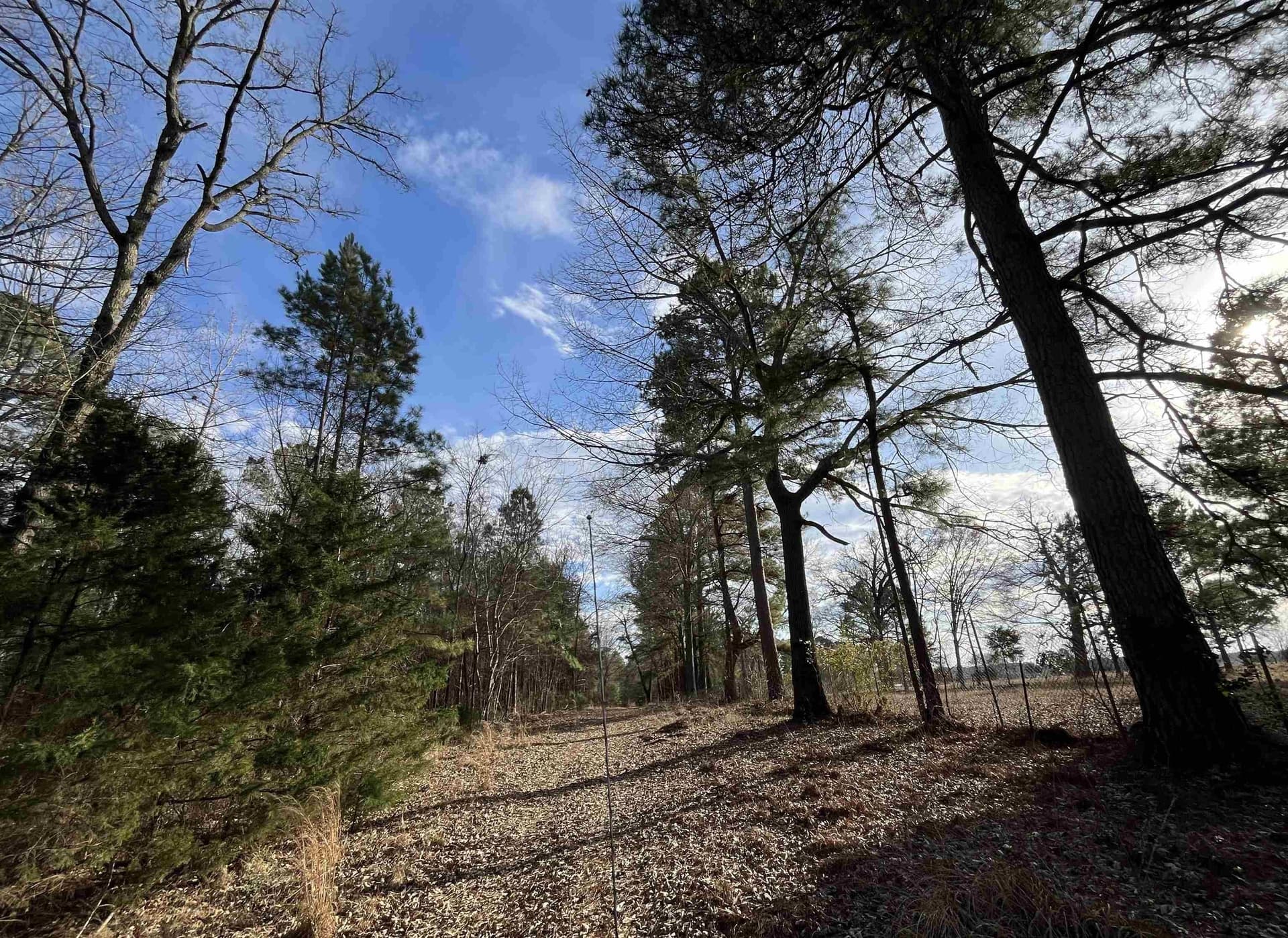 120.91 acres in Gregg County - photo 19
