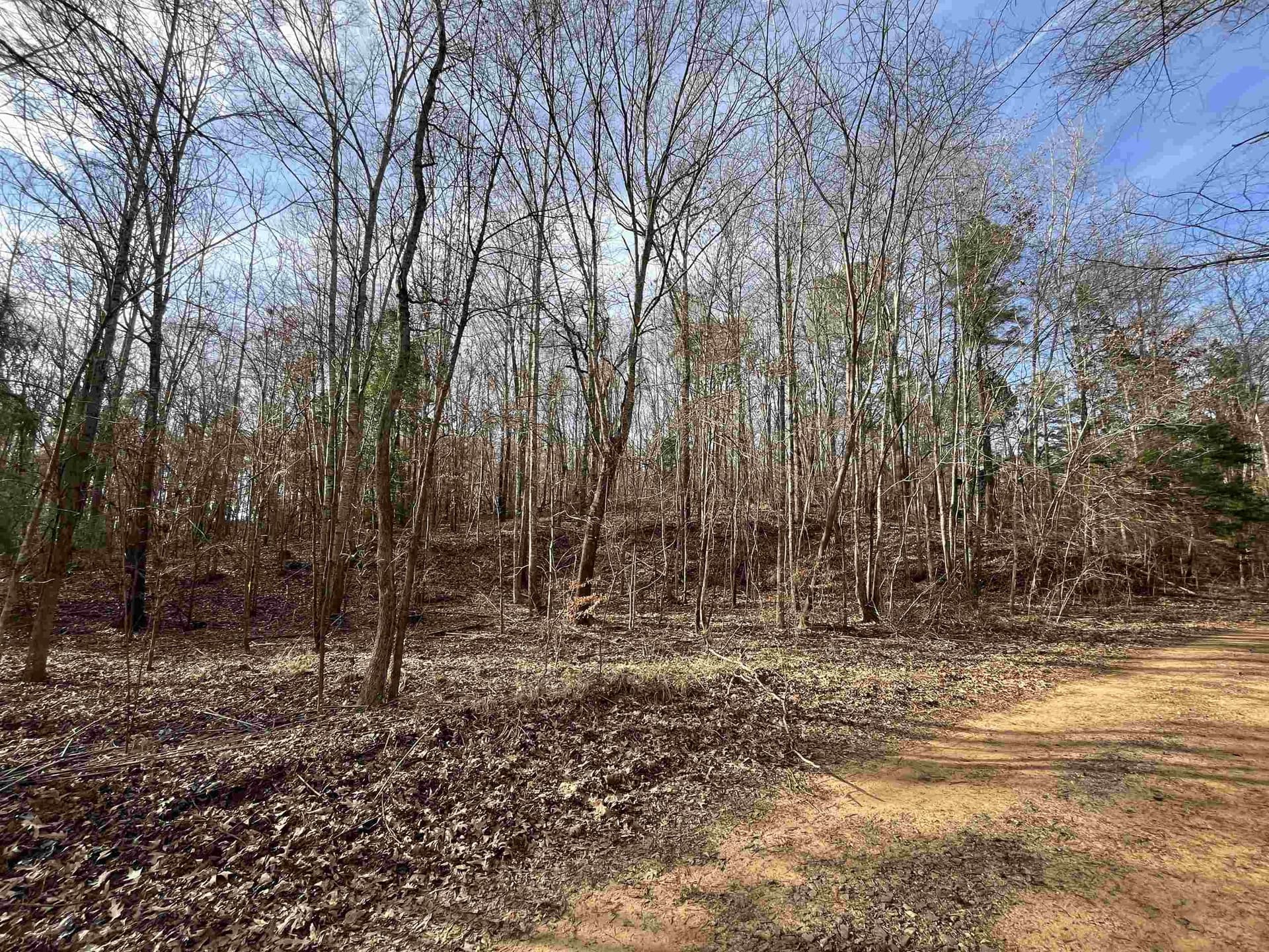 120.91 acres in Gregg County - photo 31