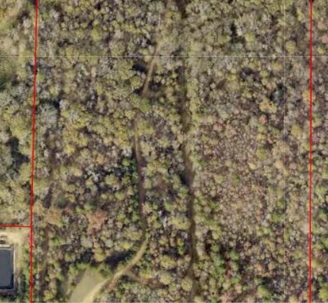 120.91 acres in Gregg County - photo 2