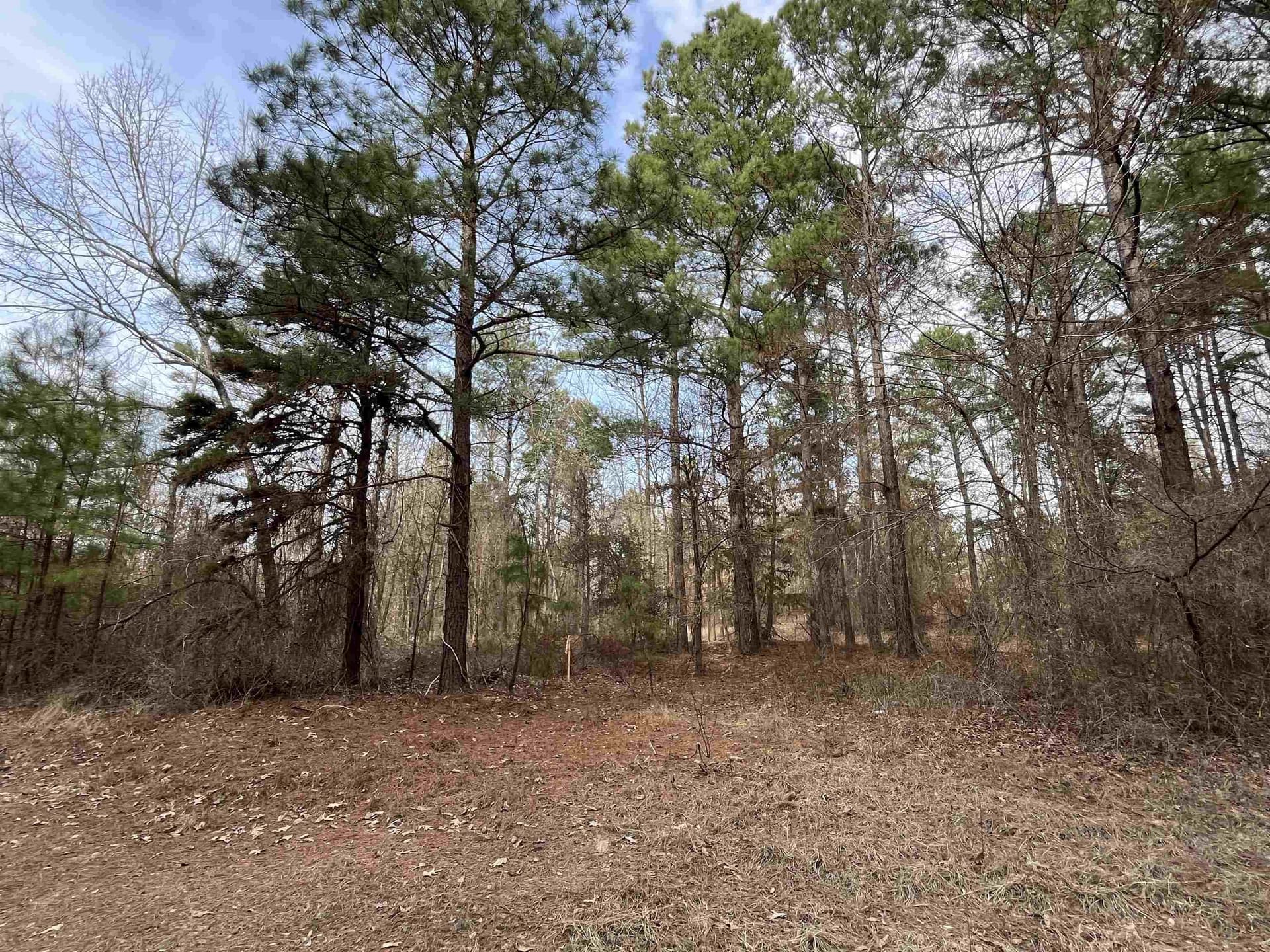 120.91 acres in Gregg County - photo 29