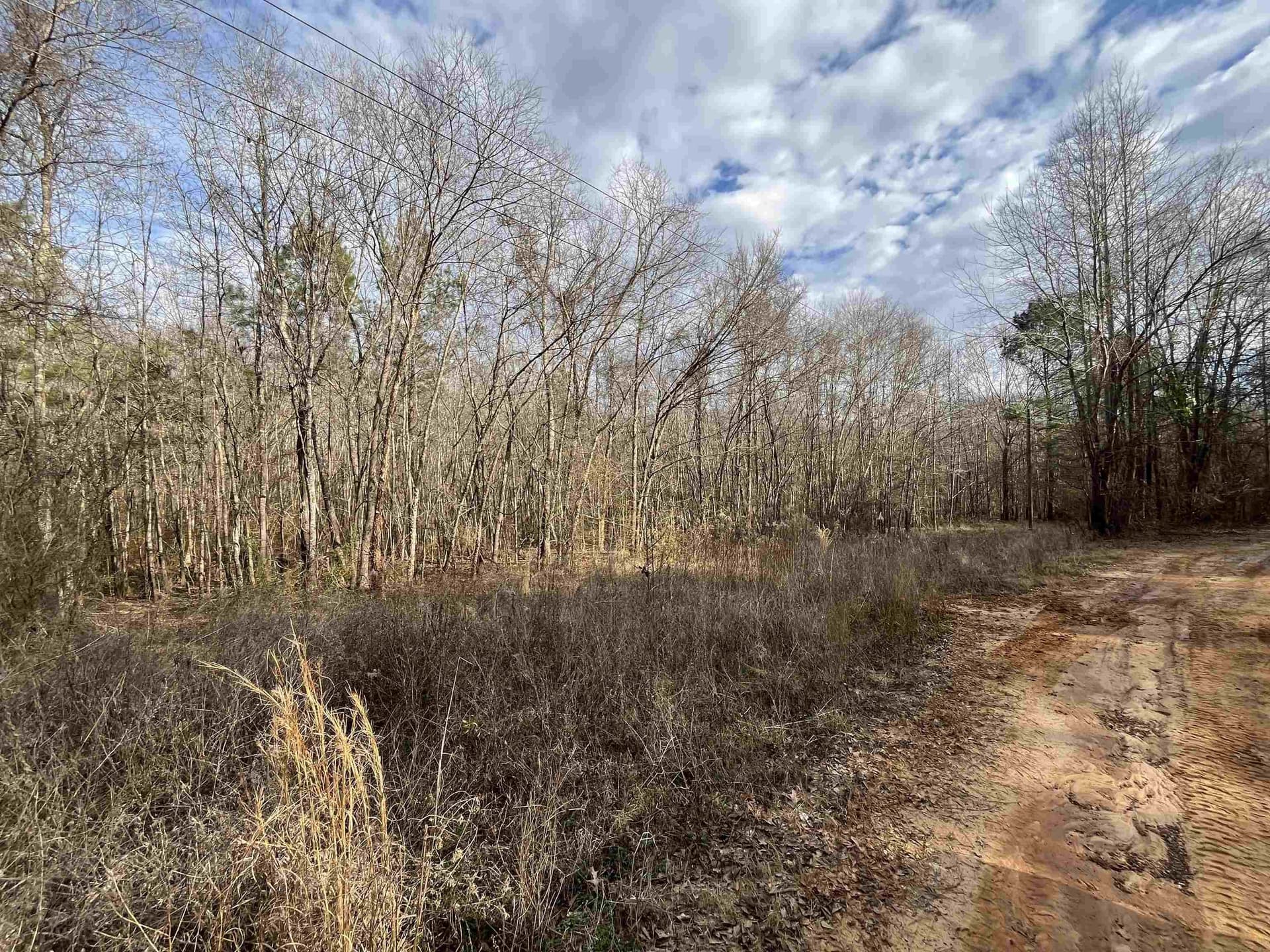 120.91 acres in Gregg County - photo 30