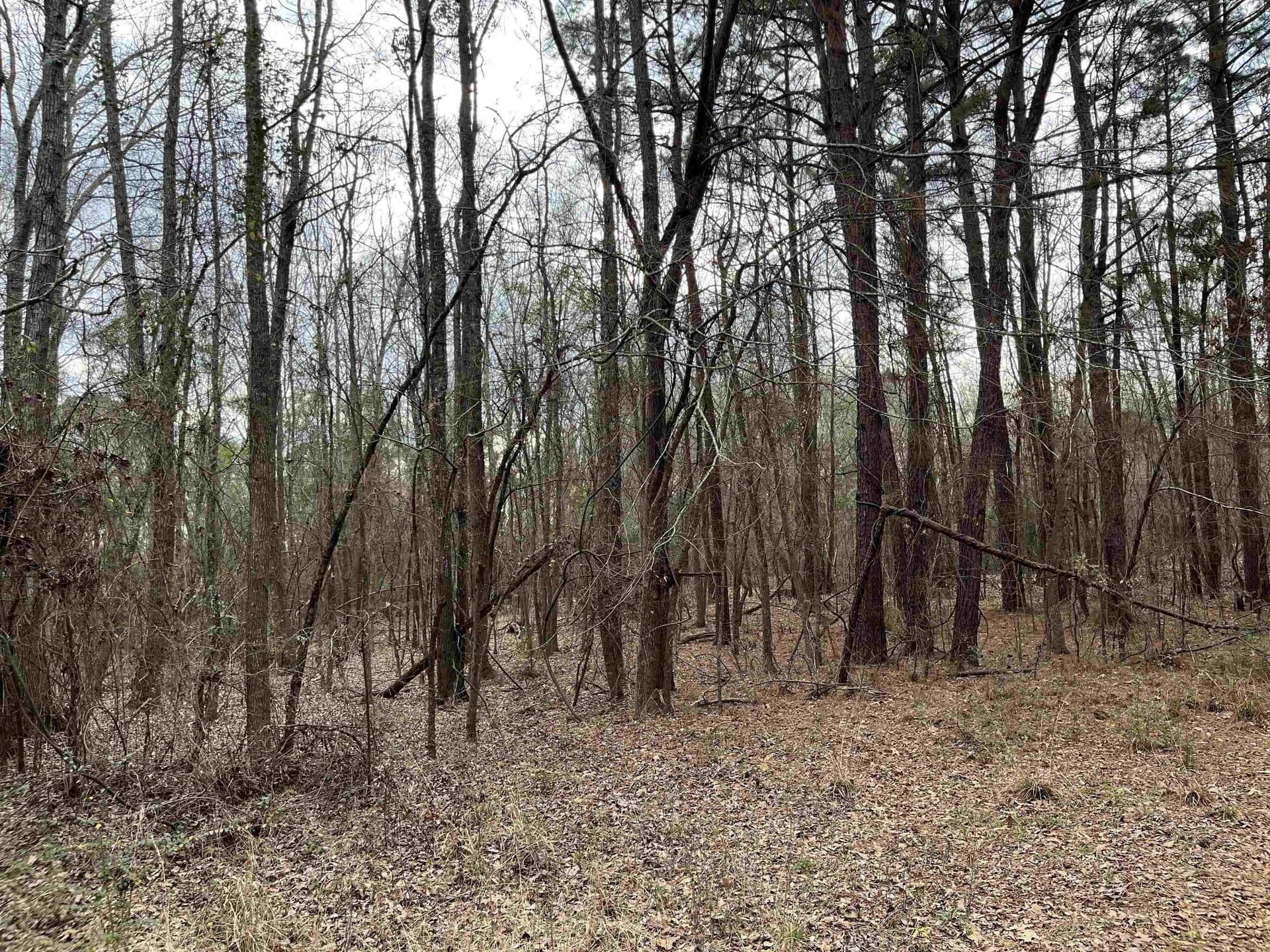 120.91 acres in Gregg County