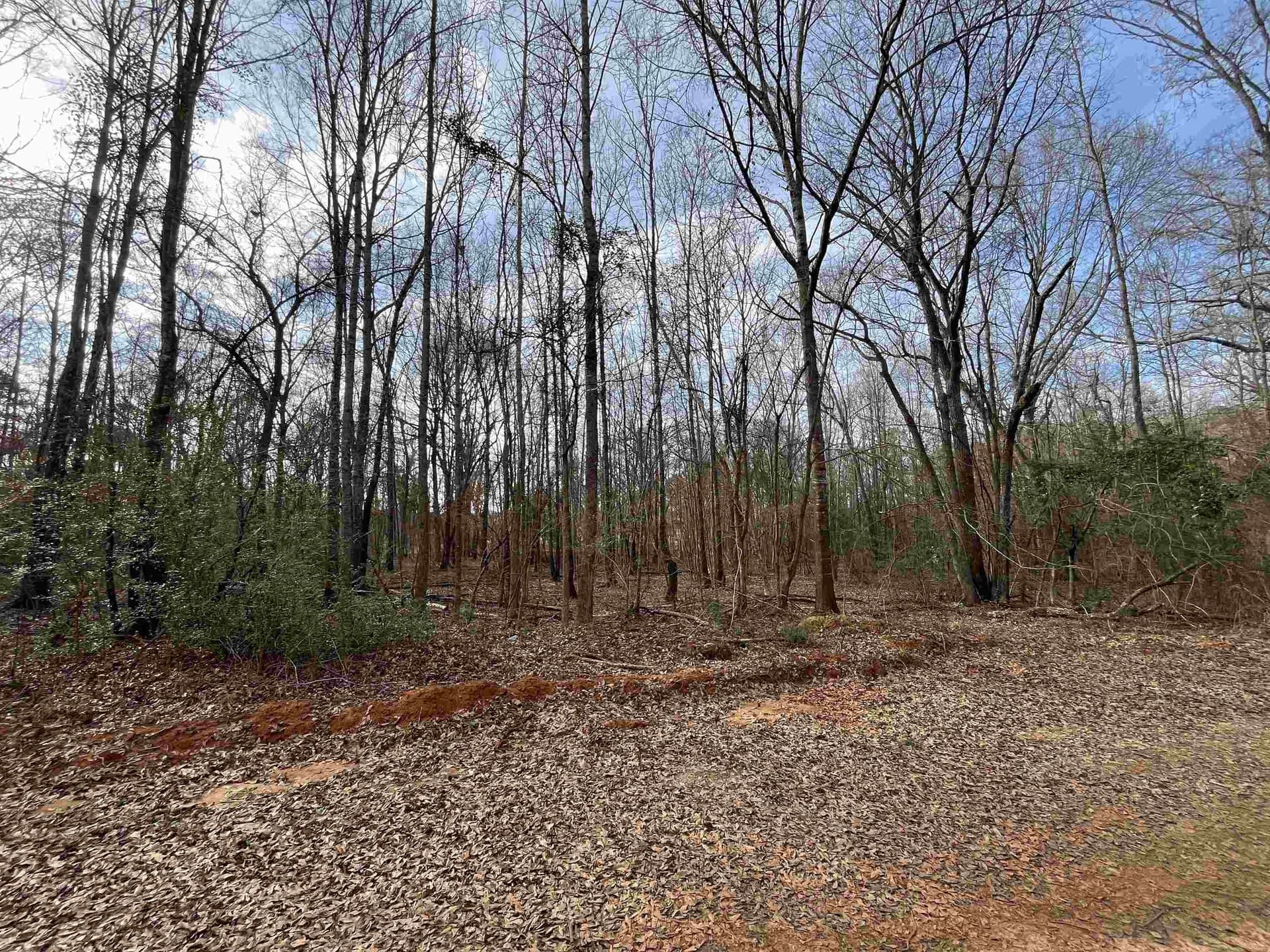 120.91 acres in Gregg County - photo 4