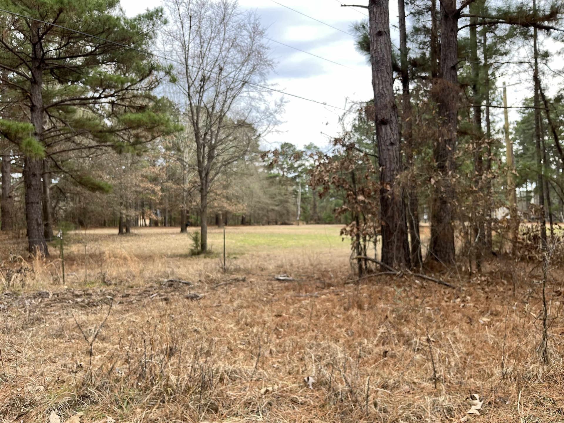 120.91 acres in Gregg County - photo 9