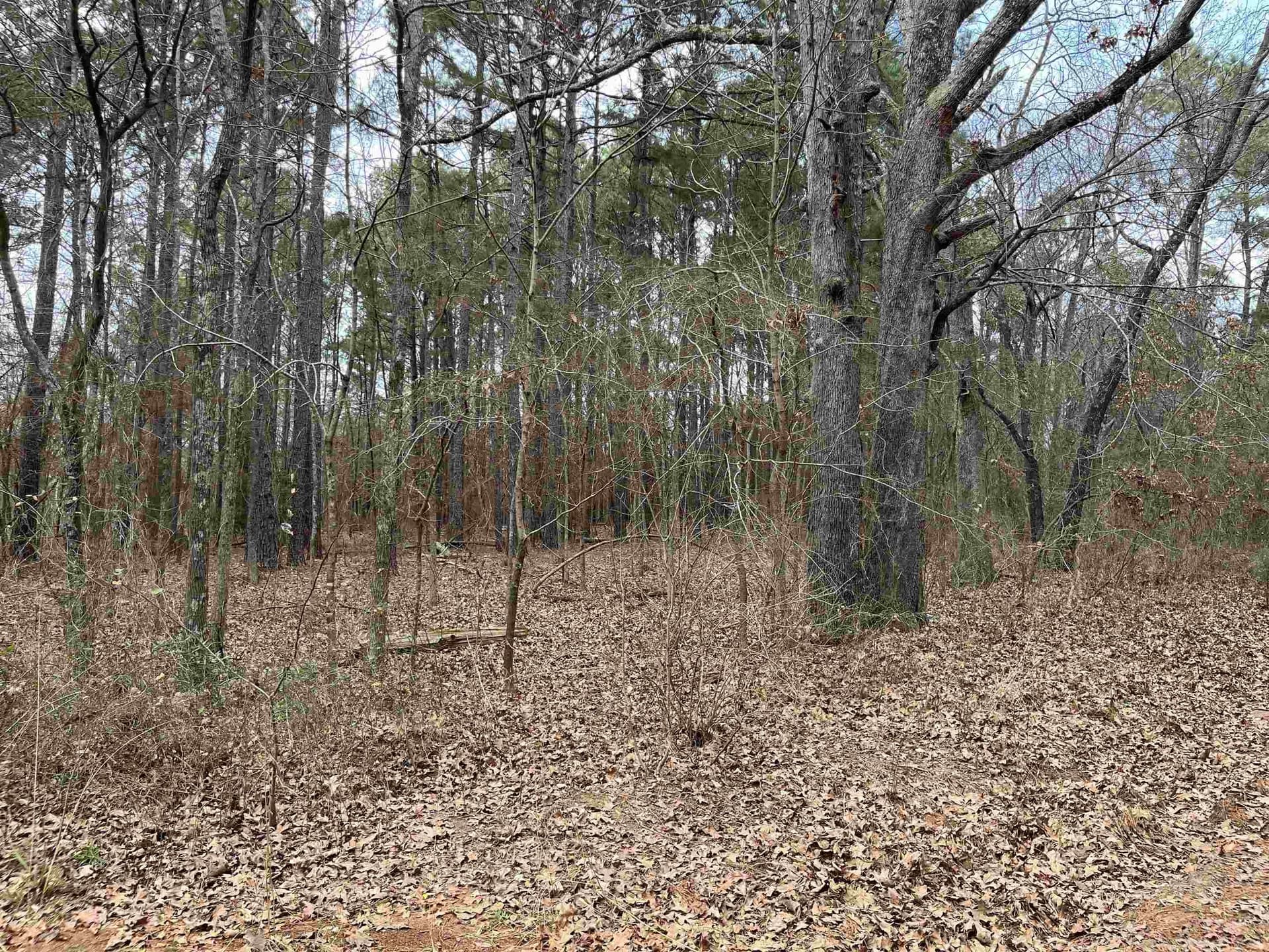 120.91 acres in Gregg County - photo 17