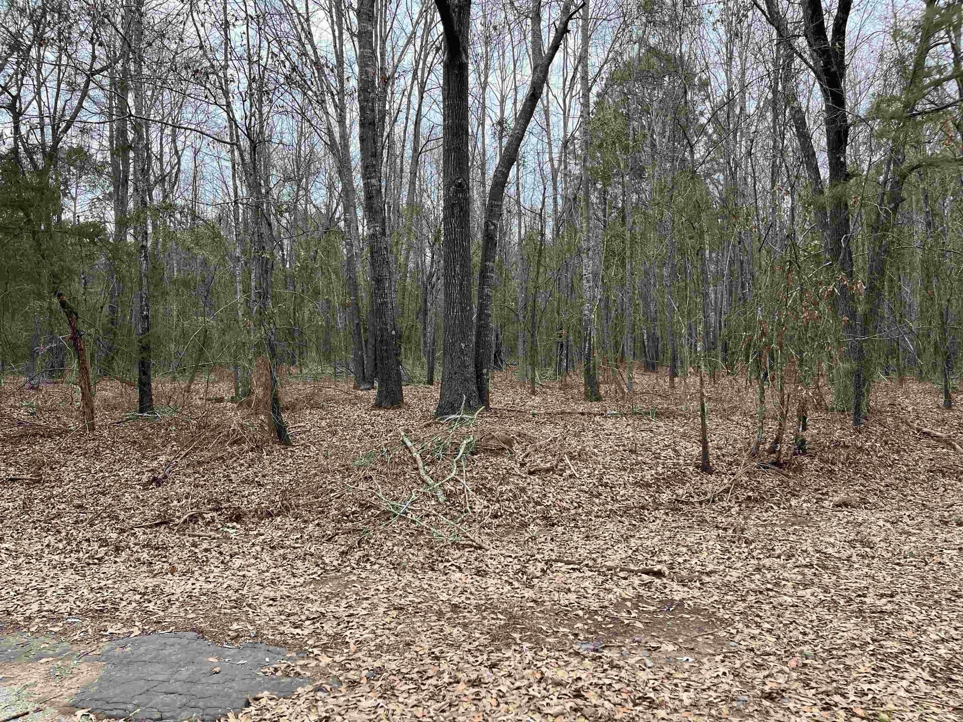 120.91 acres in Gregg County - photo 21