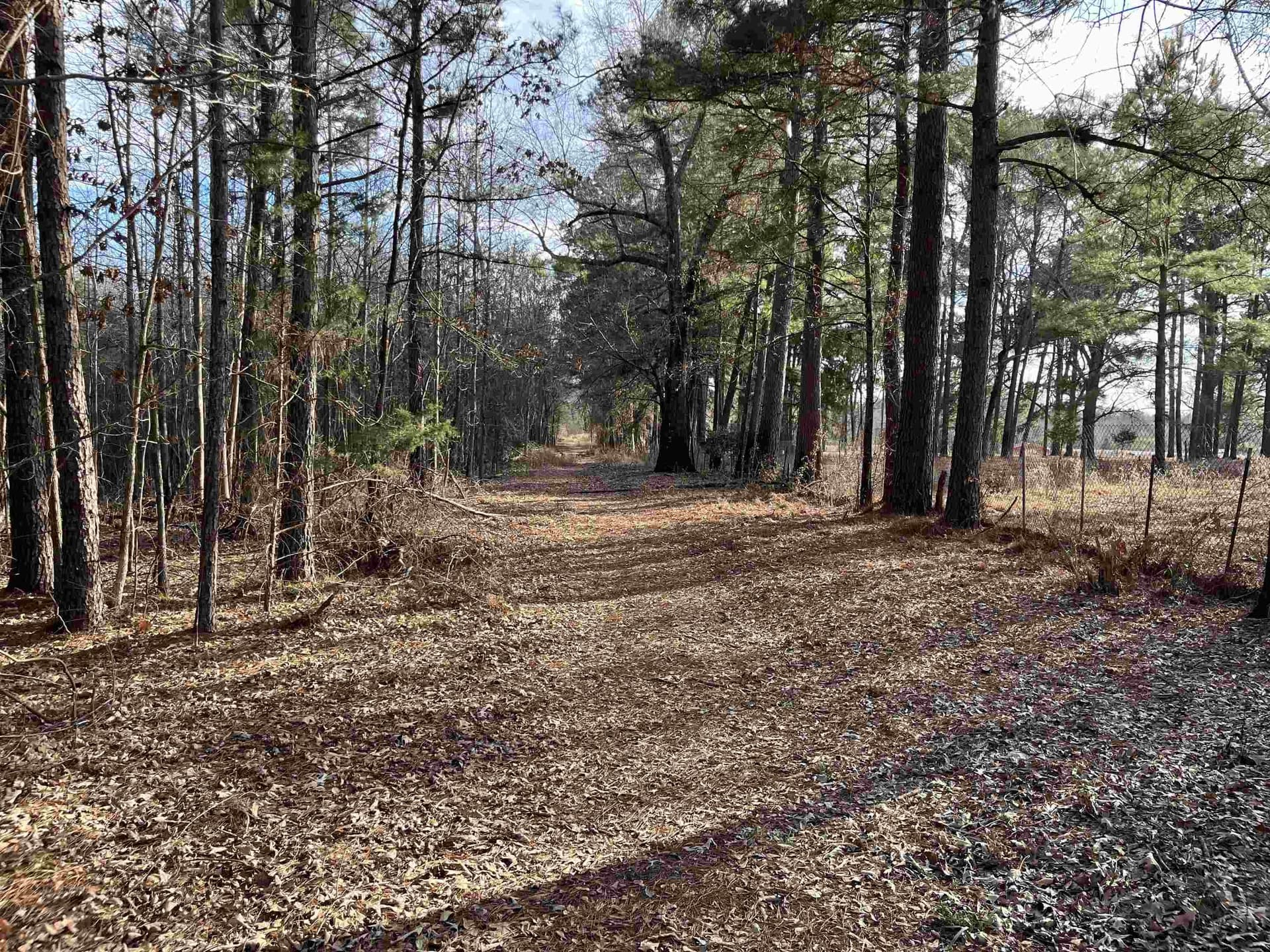 120.91 acres in Gregg County - photo 18