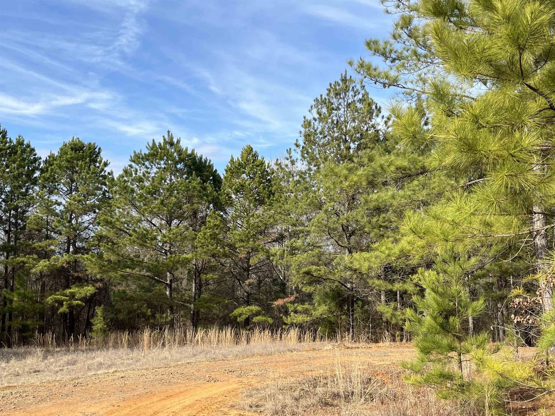 120.91 acres in Gregg County - photo 7