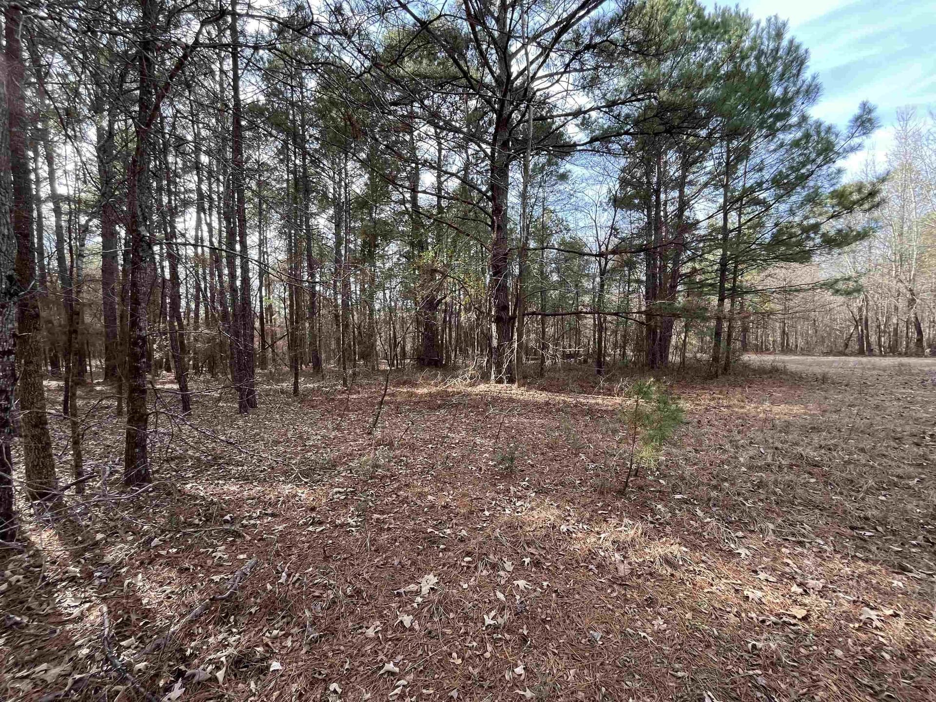 120.91 acres in Gregg County - photo 14