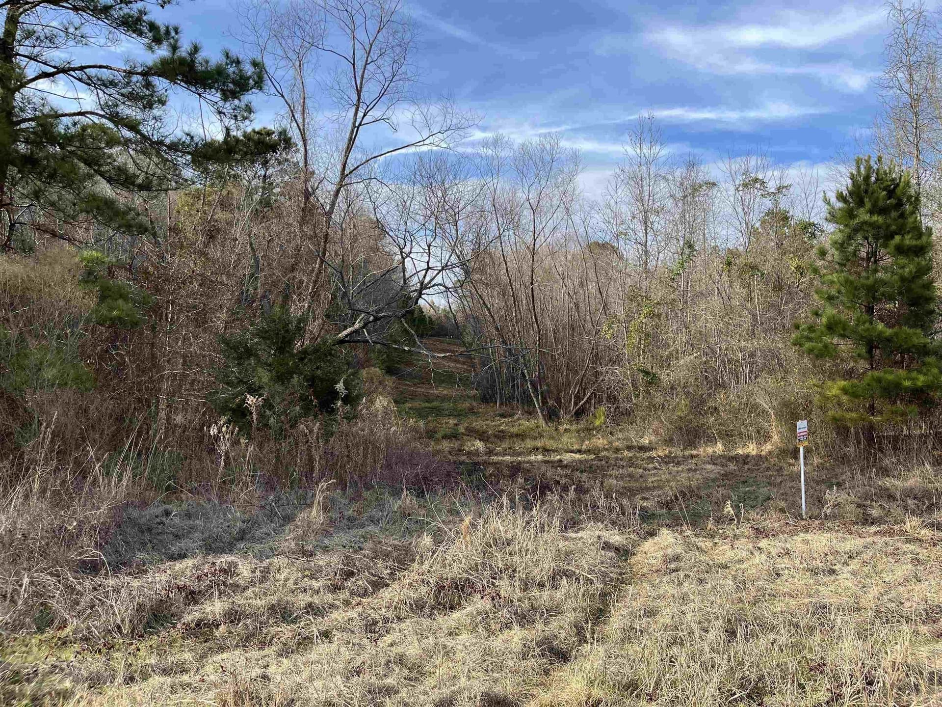 120.91 acres in Gregg County - photo 24