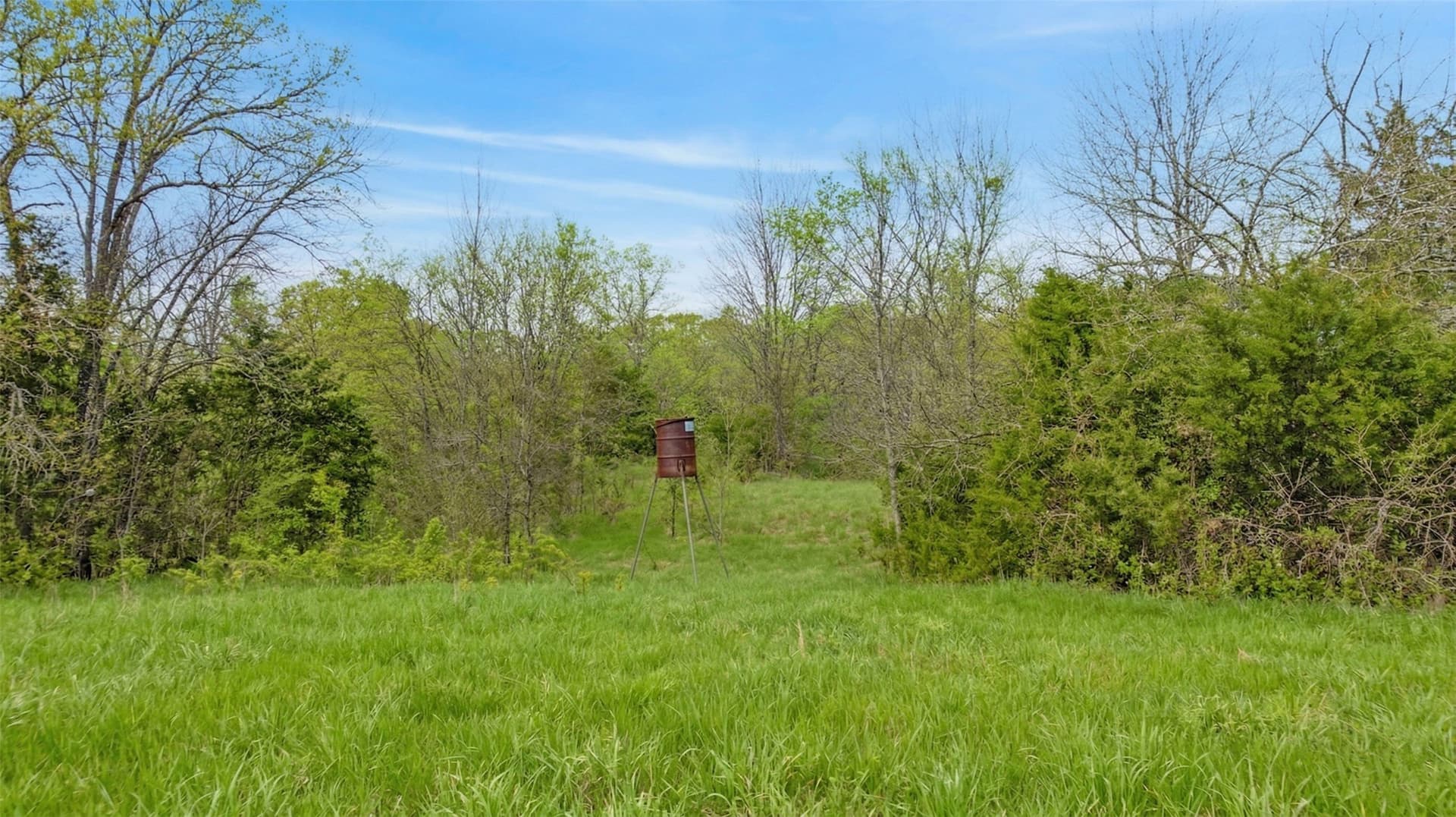 30 acres in Delta County - photo 23
