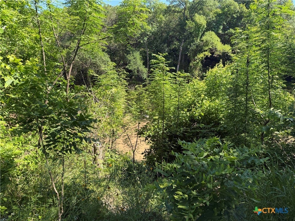 94.8 acres in Coryell County - photo 32