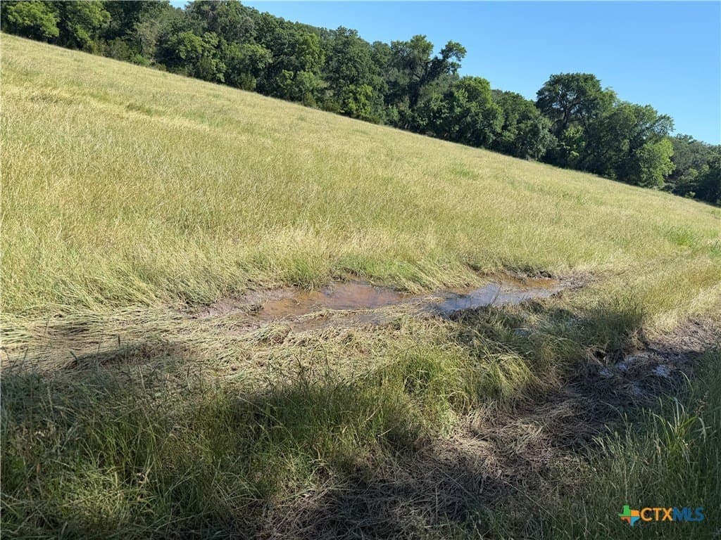 94.8 acres in Coryell County - photo 23