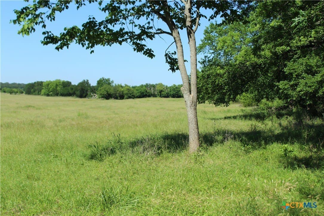94.8 acres in Coryell County - photo 11