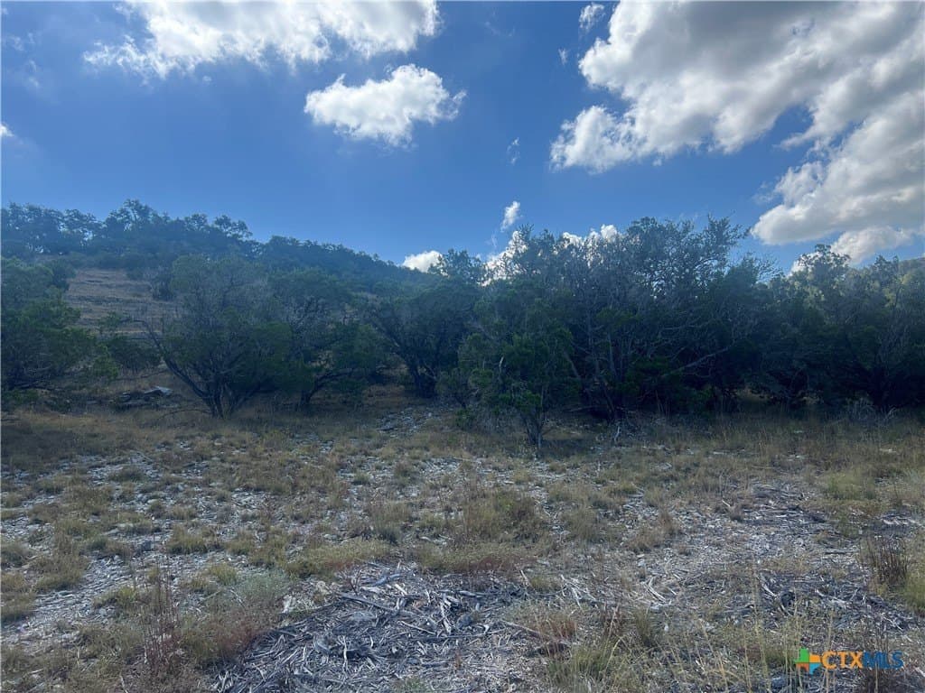 1.87 acres in Comal County - photo 12