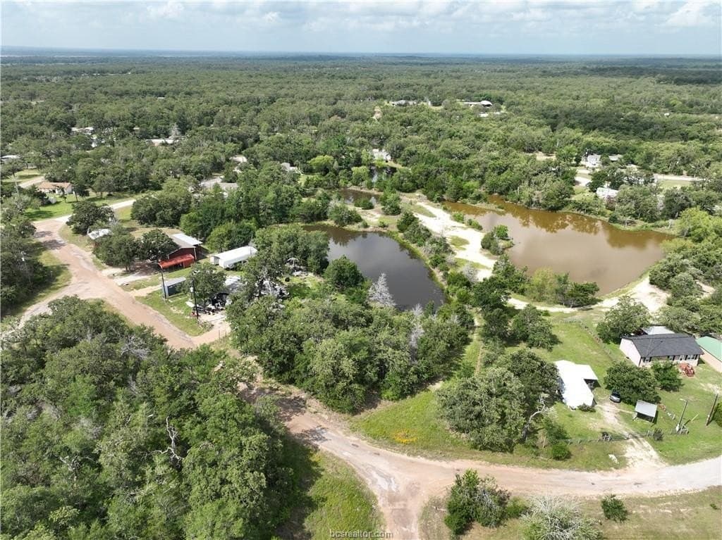 0.3 acres in Burleson County gallery image 4
