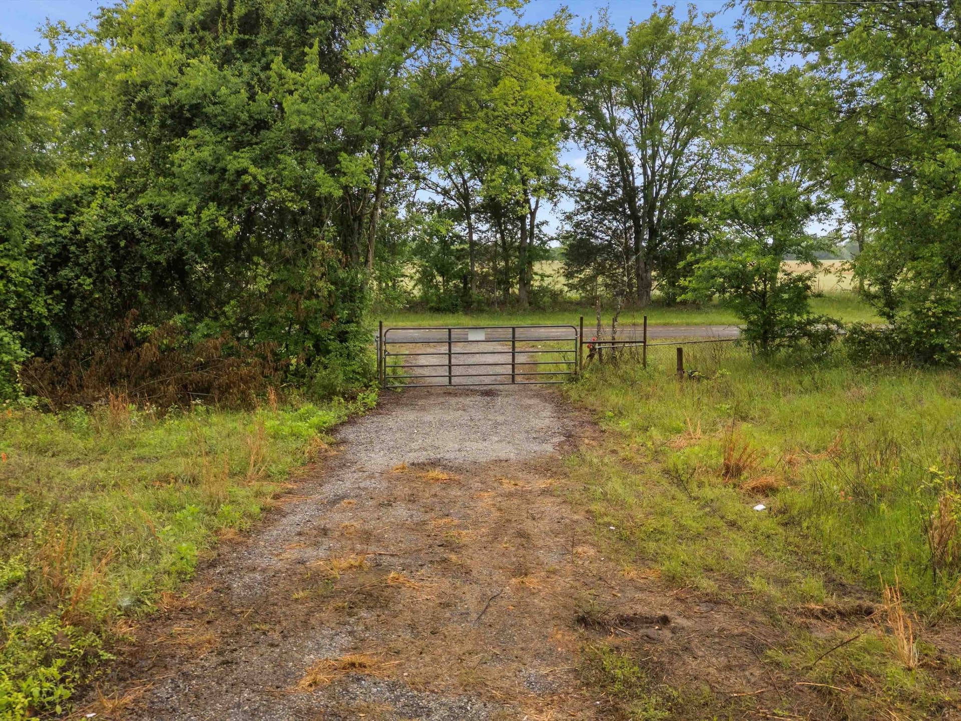 2.6 acres in Wood County featured view
