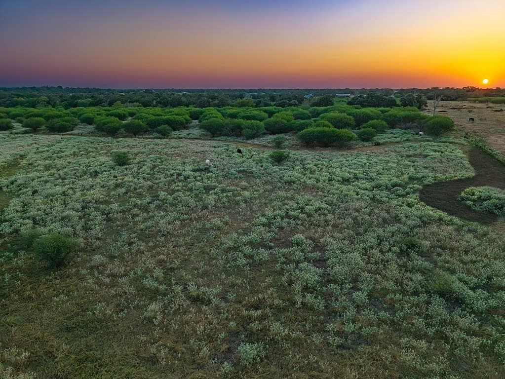 33.36 acres in Lavaca County - photo 9