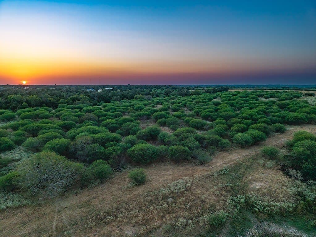 33.36 acres in Lavaca County - photo 13