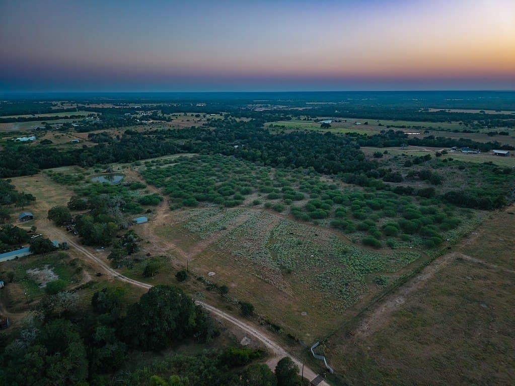 33.36 acres in Lavaca County - photo 4