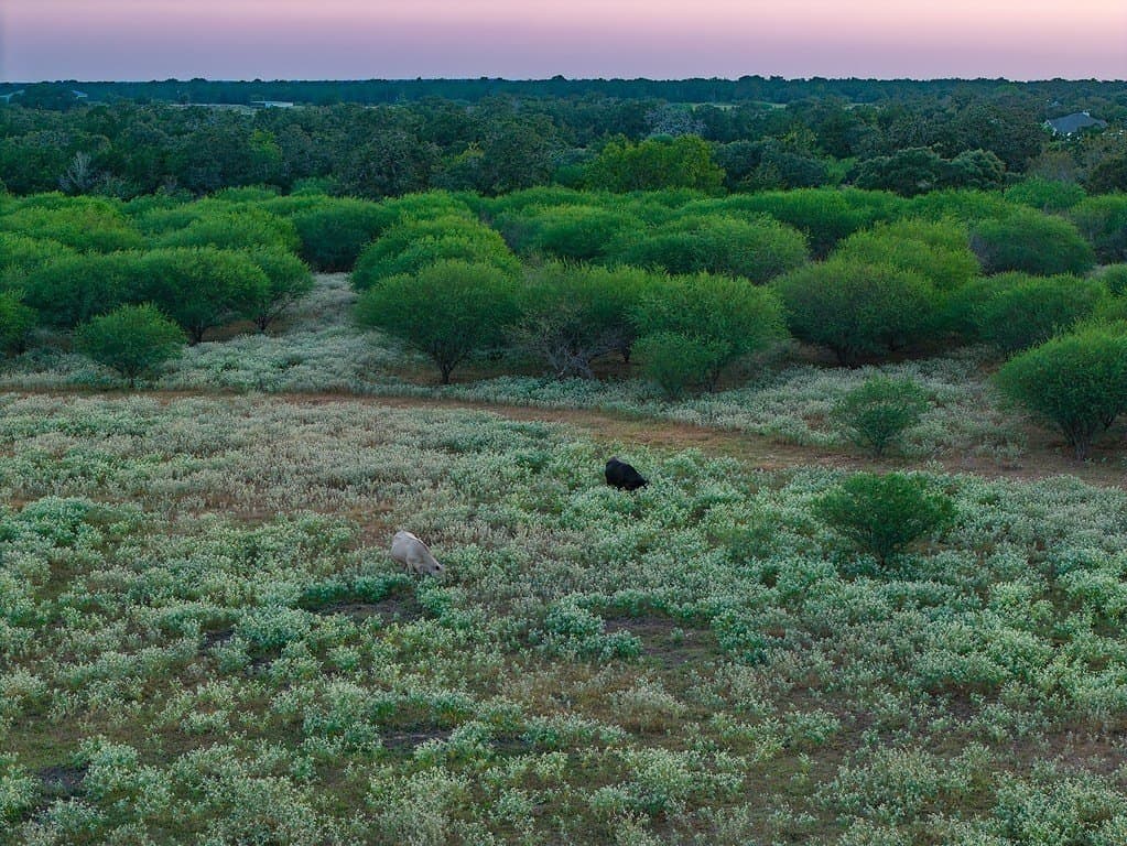 33.36 acres in Lavaca County - photo 8
