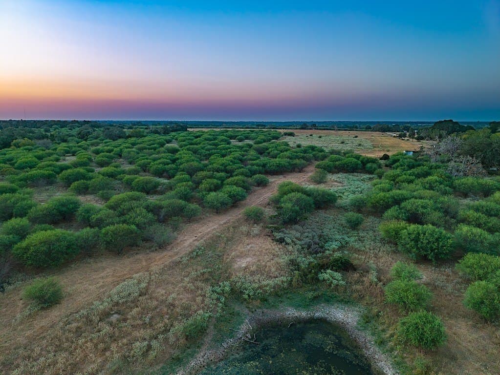33.36 acres in Lavaca County - photo 11