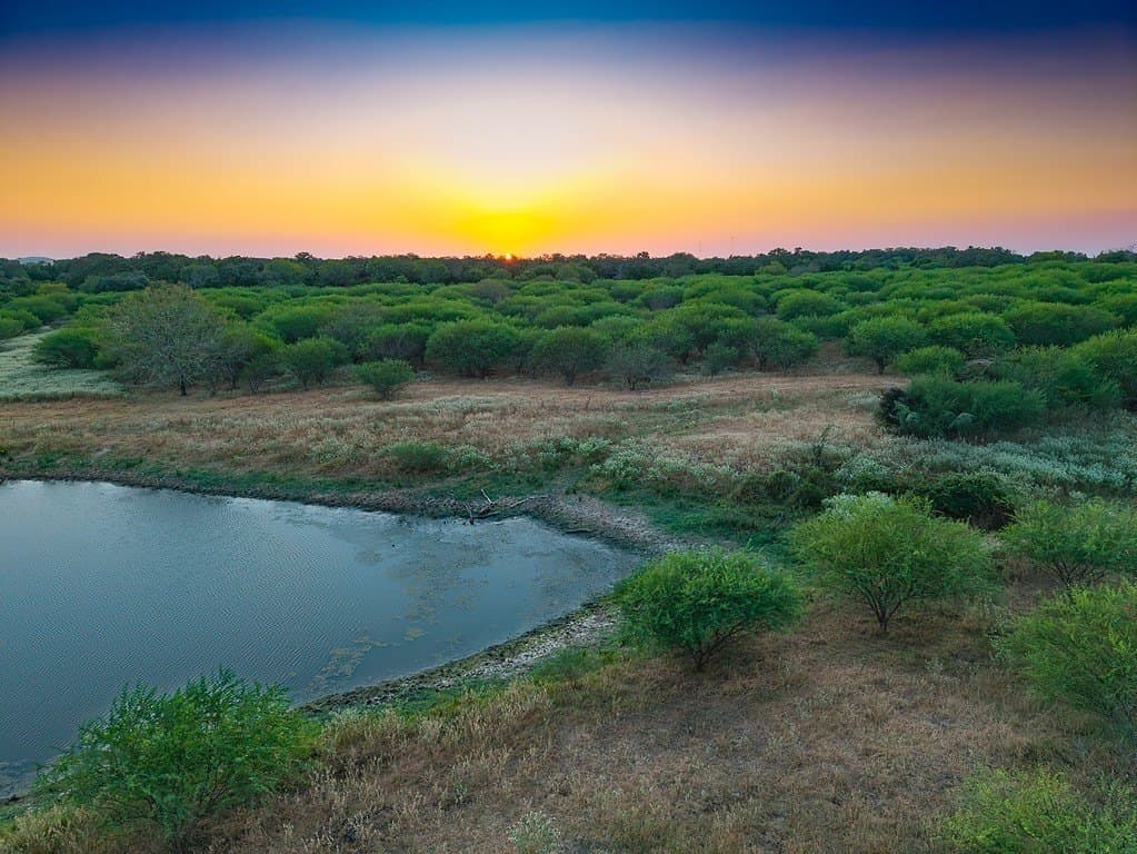 33.36 acres in Lavaca County - photo 6