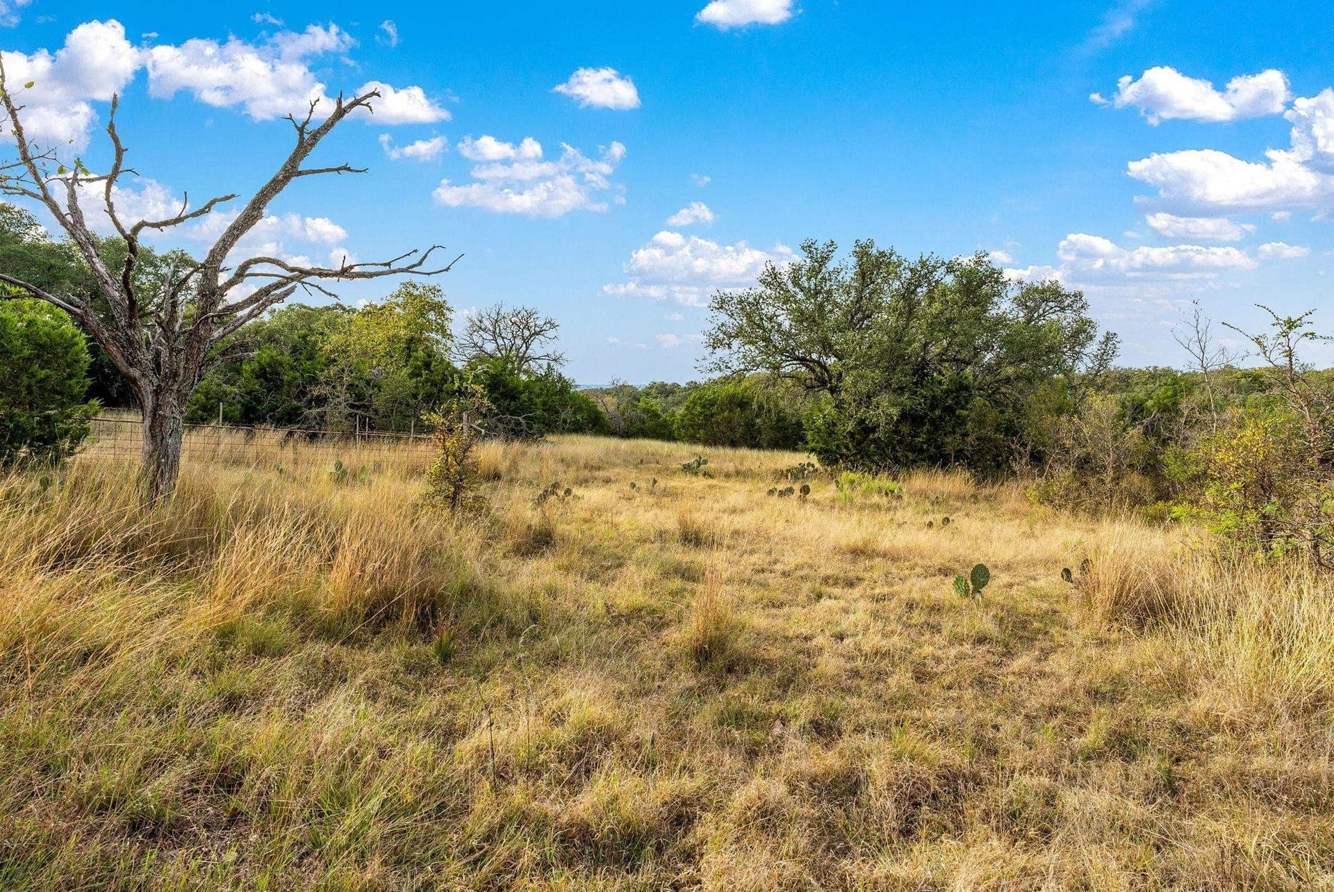 20 acres in San Saba County gallery image 3
