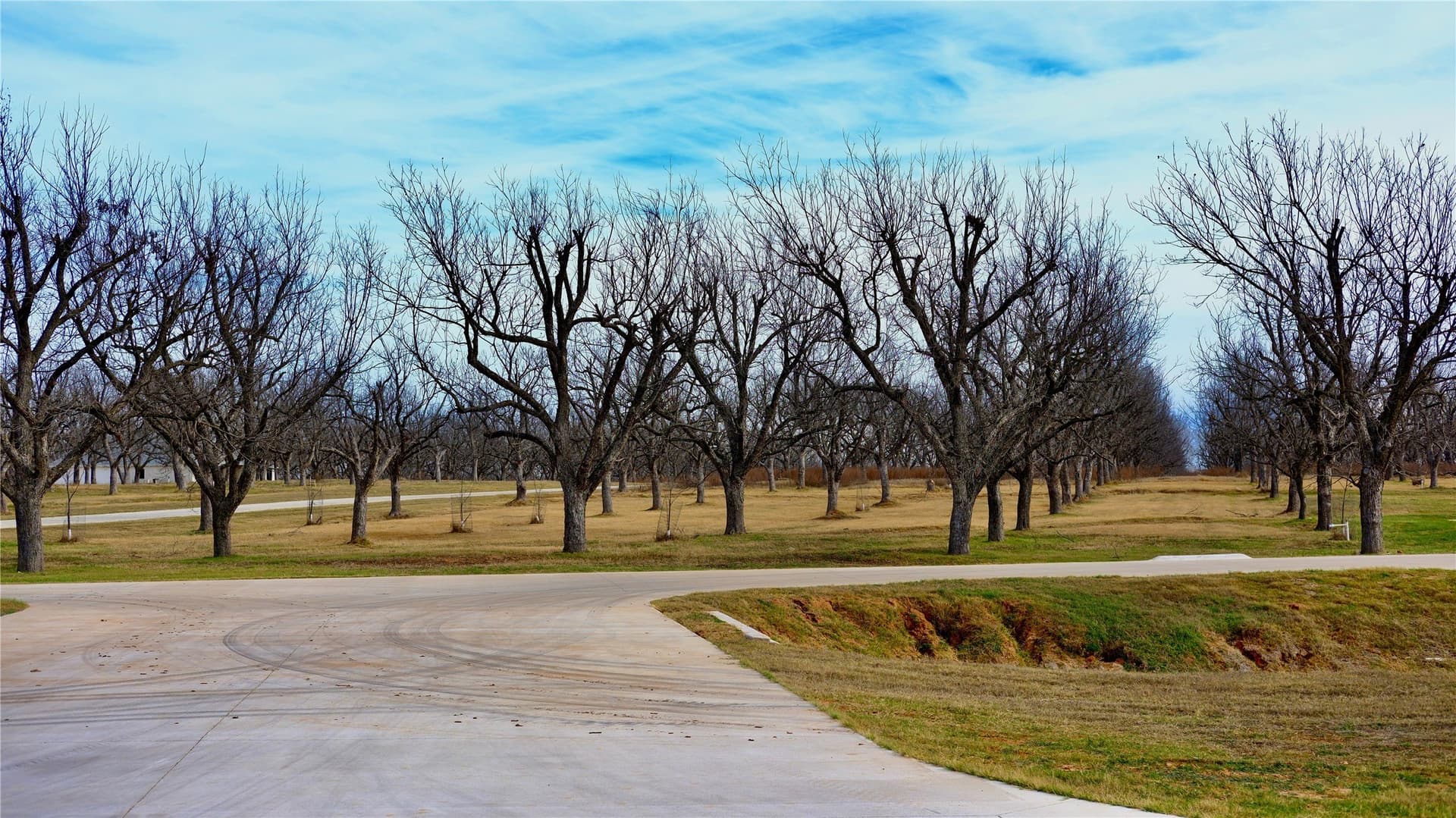 2.88 acres in Hood County - photo 5