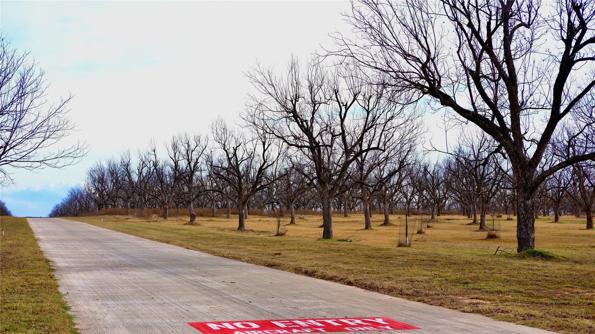 2.88 acres in Hood County - photo 19