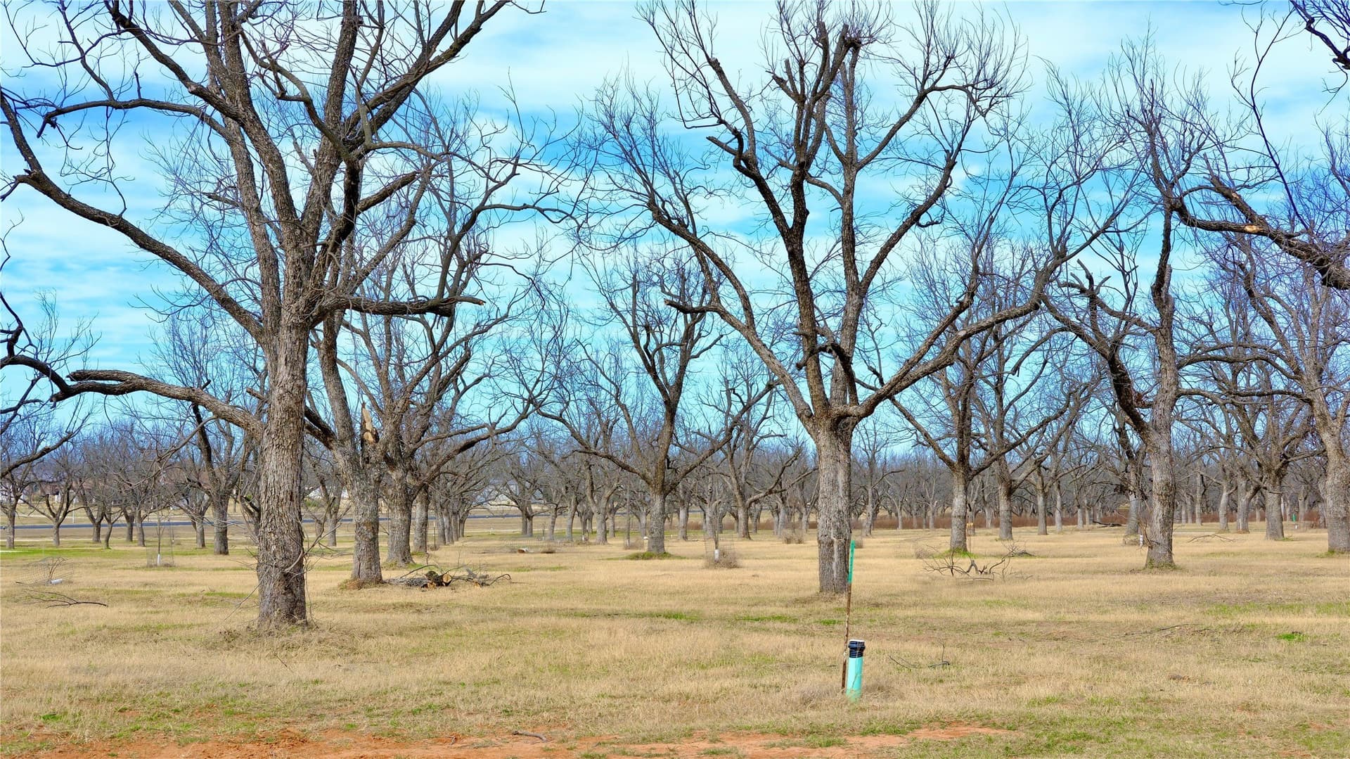 2.88 acres in Hood County - photo 9