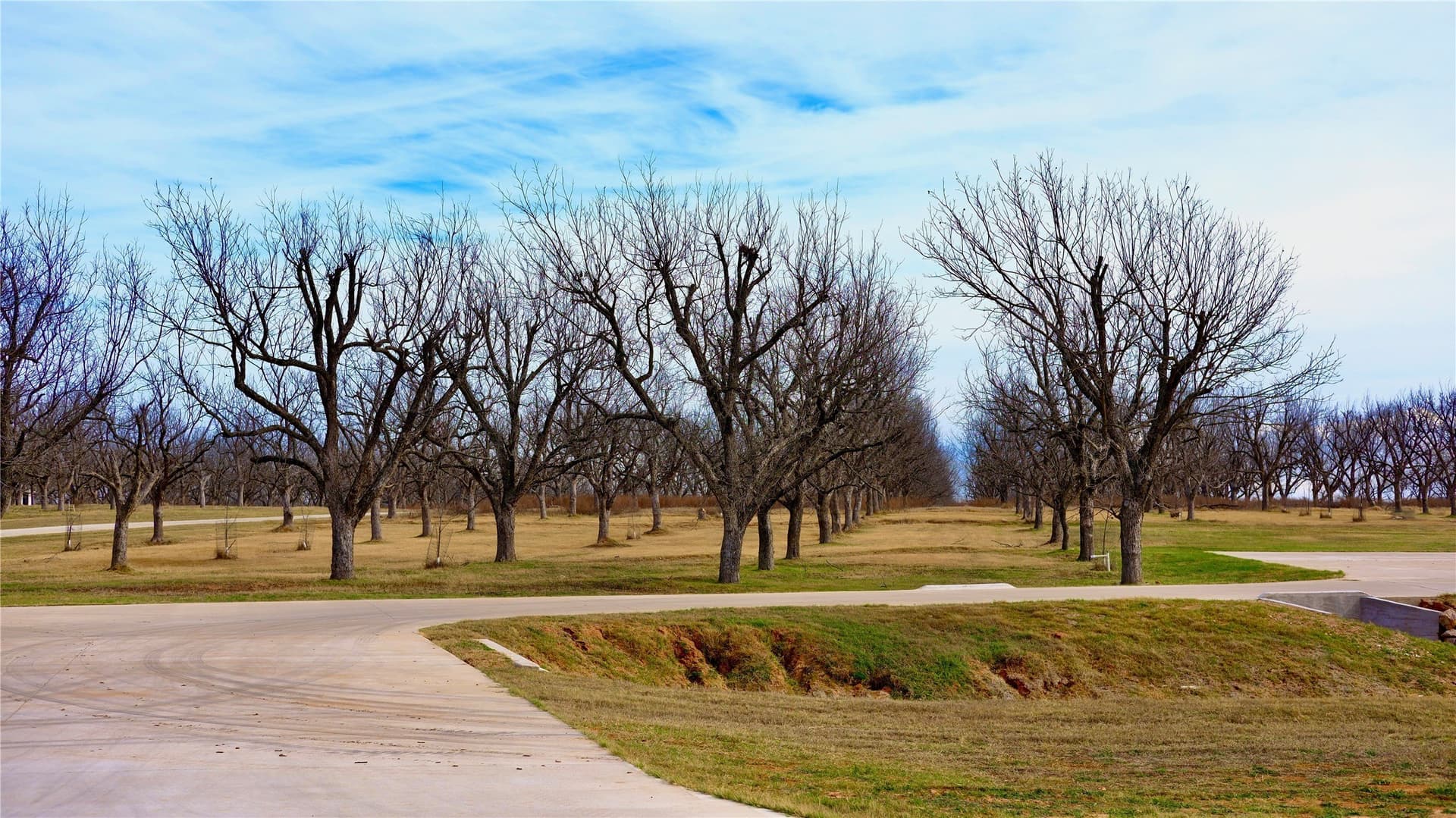 2.88 acres in Hood County - photo 15