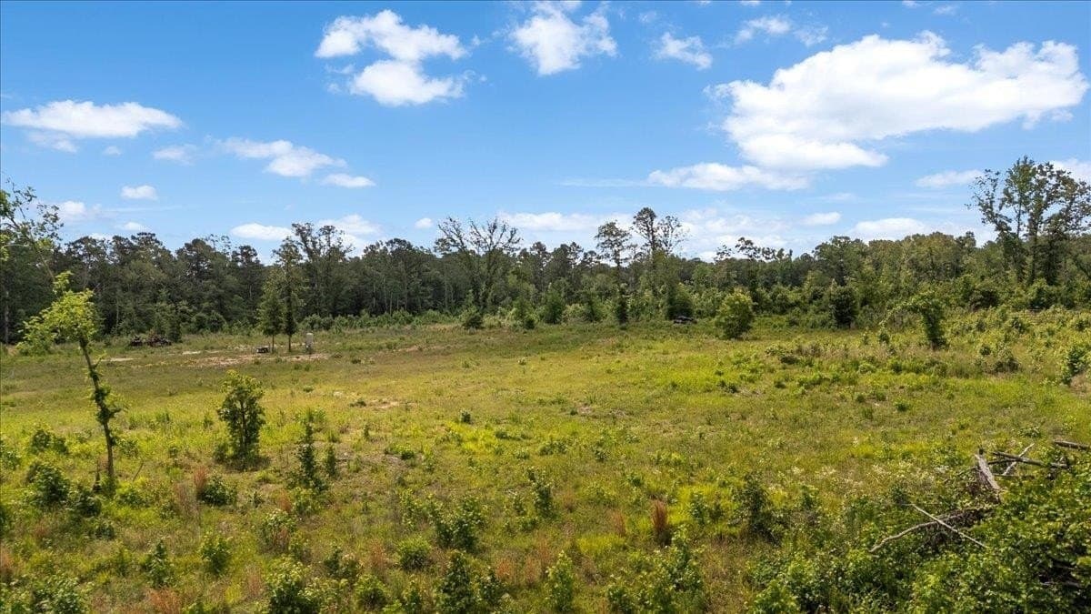 100.56 acres in Wood County - photo 10