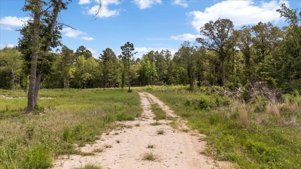 100.56 acres in Wood County - photo 17