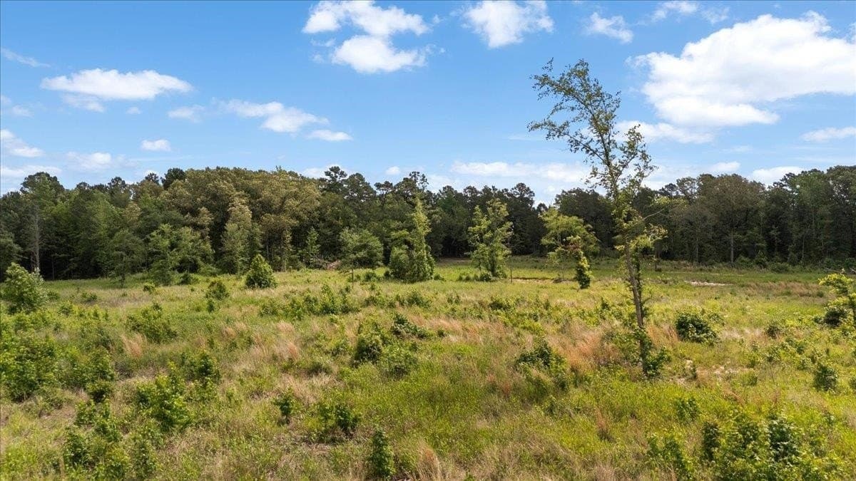 100.56 acres in Wood County - photo 11